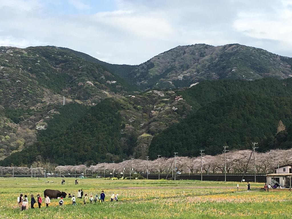 Dogashima Onsen Hotel Nishiizu Eksteriør bilde
