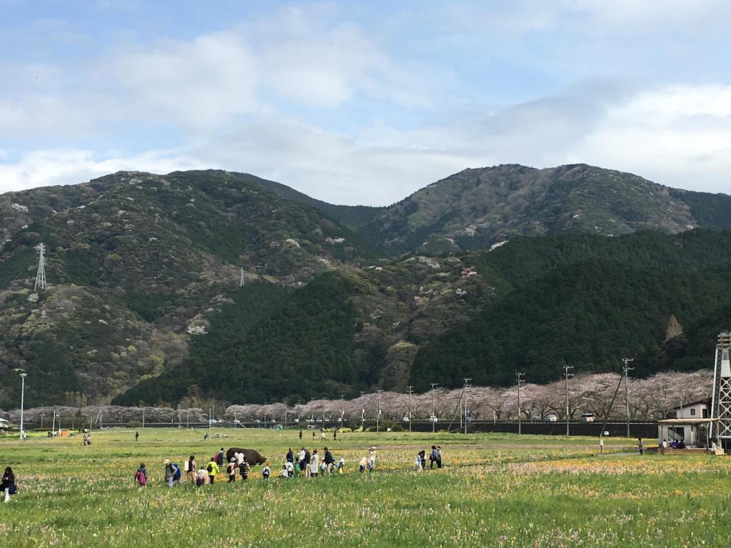 Dogashima Onsen Hotel Nishiizu Eksteriør bilde