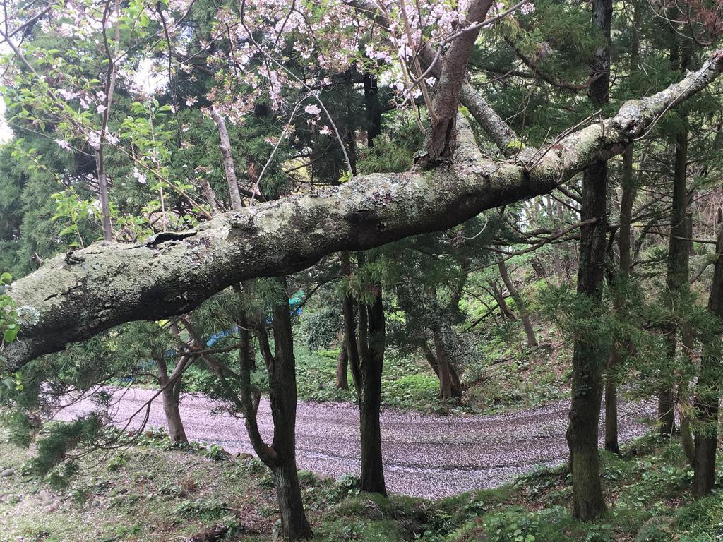 Dogashima Onsen Hotel Nishiizu Eksteriør bilde