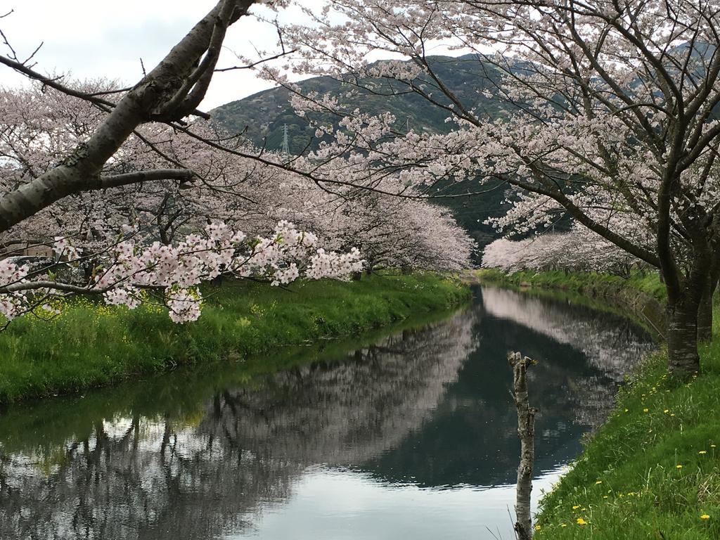 Dogashima Onsen Hotel Nishiizu Eksteriør bilde